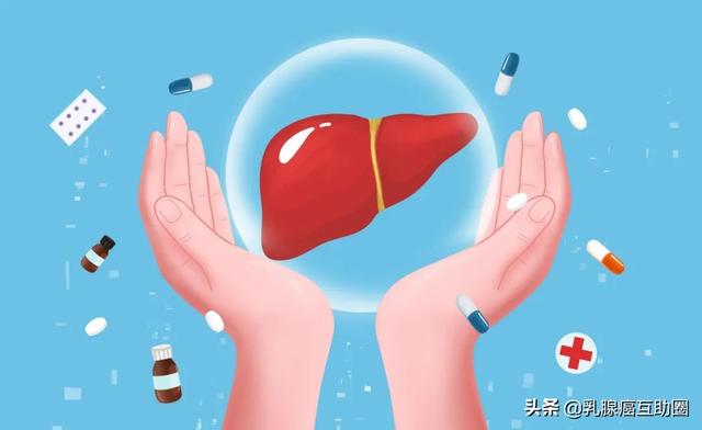 50%的肿瘤细胞更喜欢转移到肝脏，这是为什么？