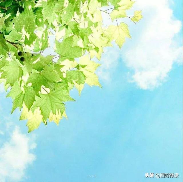 讨厌一个人，最高级的处理应对方式