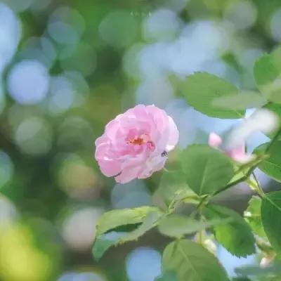 周四杂吟，请您欣赏