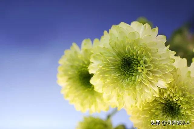 散文：春天，因生而爱