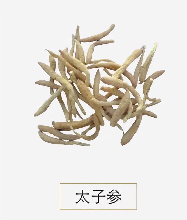 “虚不受补”的人，冬天该如何进补？