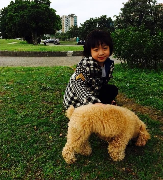 《爸爸去哪儿》星二代接连登热搜，村长李锐回忆与萌娃趣事引感慨