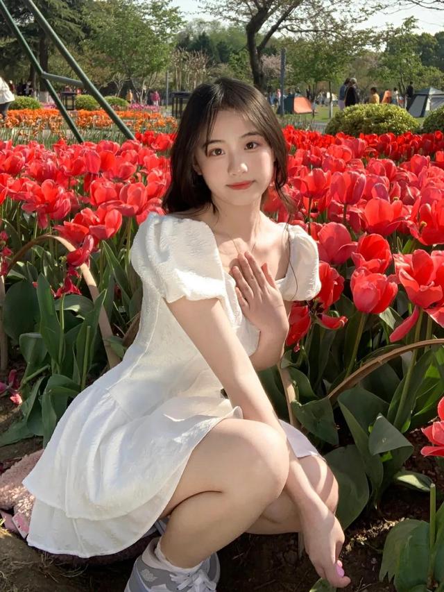 春日是永不消亡的罗曼蒂克