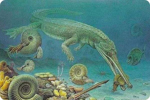 所谓的第六次生物大灭绝，人类能幸免于难吗？