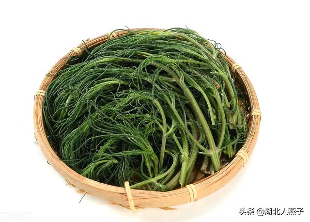 春天的野菜