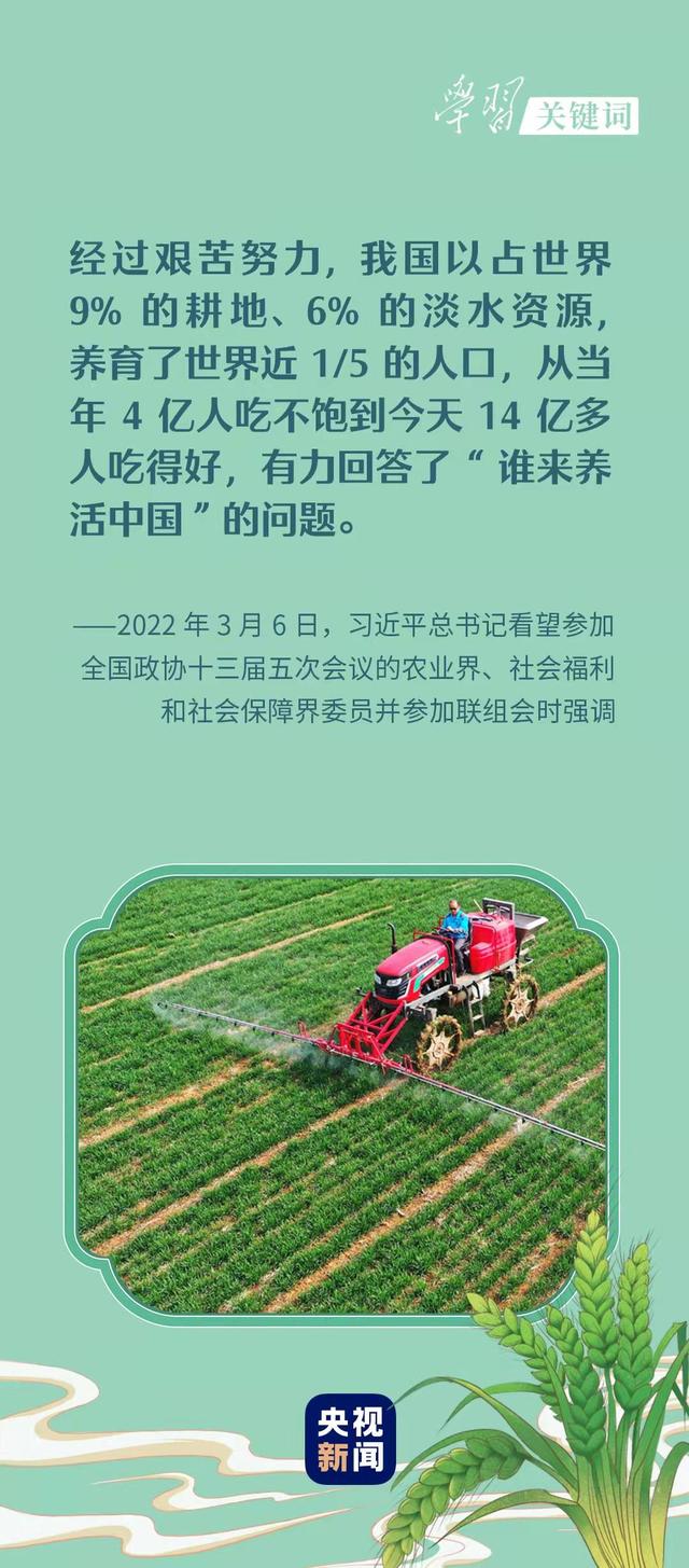 春事看农桑 |“大食物观”托起“舌尖幸福”