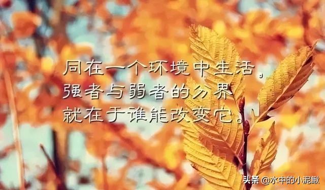 微信早安语录正能量句子 早安图片激励语