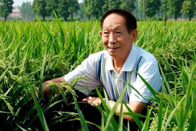 万小刀：清明节，怀念那个让我们吃饱饭的人