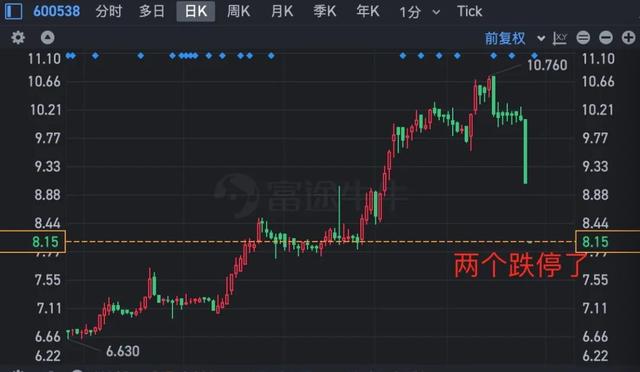 又现杀猪盘，退休大姐被骗，孩子结婚的钱被深套，如何避坑？