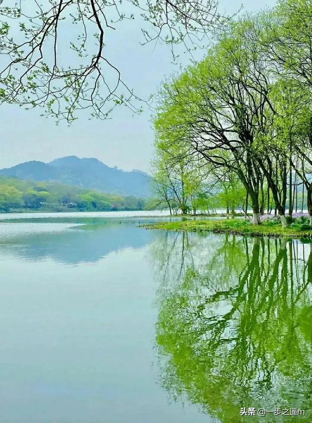 原创现代诗：第一场雨