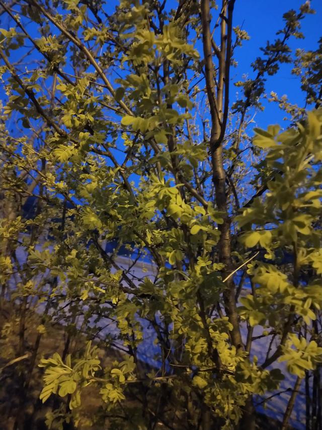 当人寒心一次，才懂…