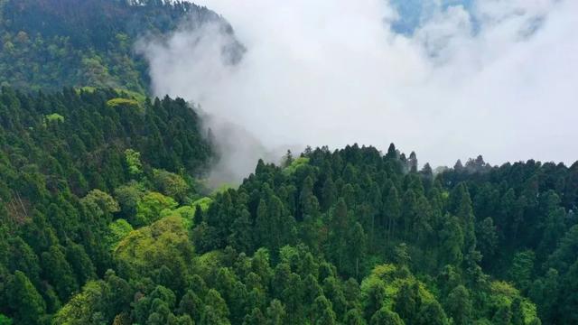 成都周边旅游
