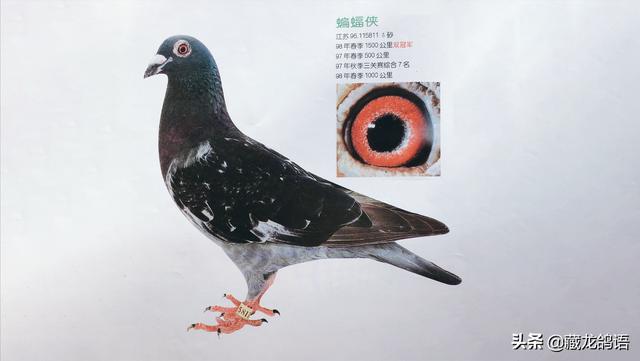 哈密通用螺旋洗砂机哪家省钱的简单介绍