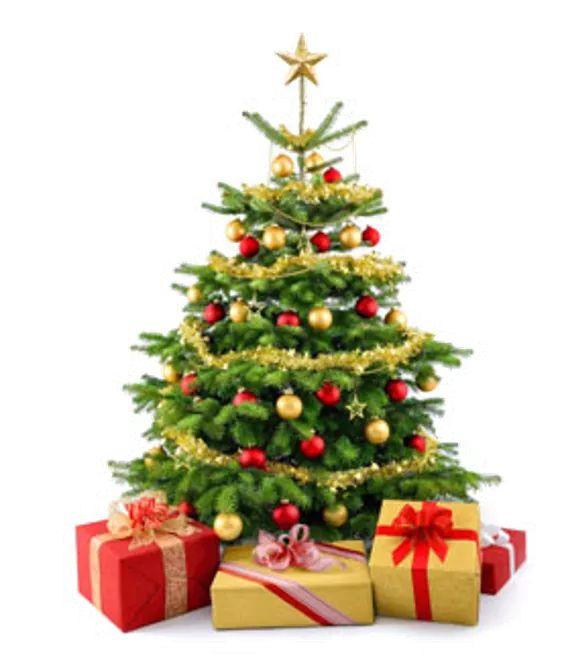 圣诞主题绘画课手工课圣诞树下的雪人快来和孩子一起动手过圣诞节