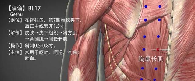 膈俞穴—活血止痛主治一切血症