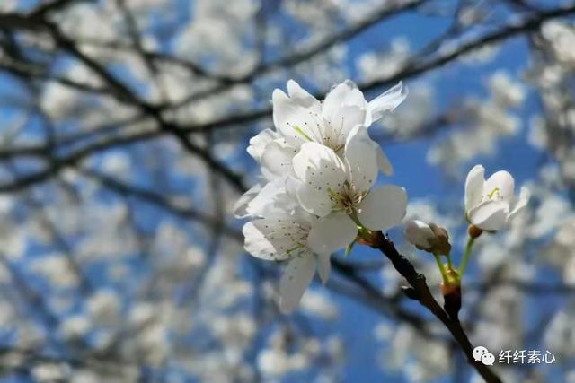生活不易，互相鼓励
