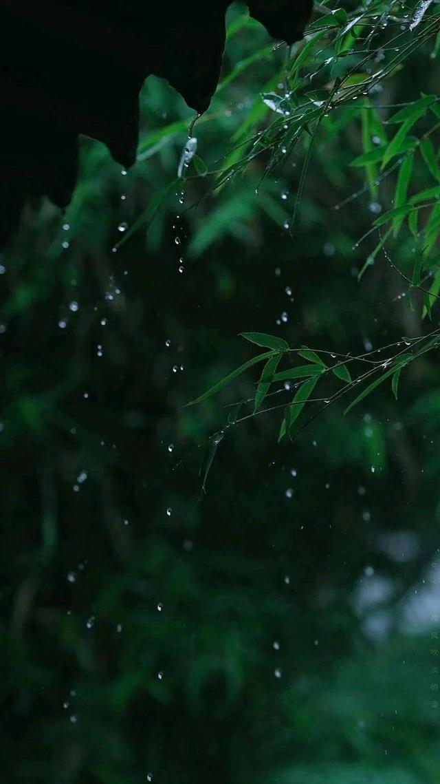 初夏的细雨