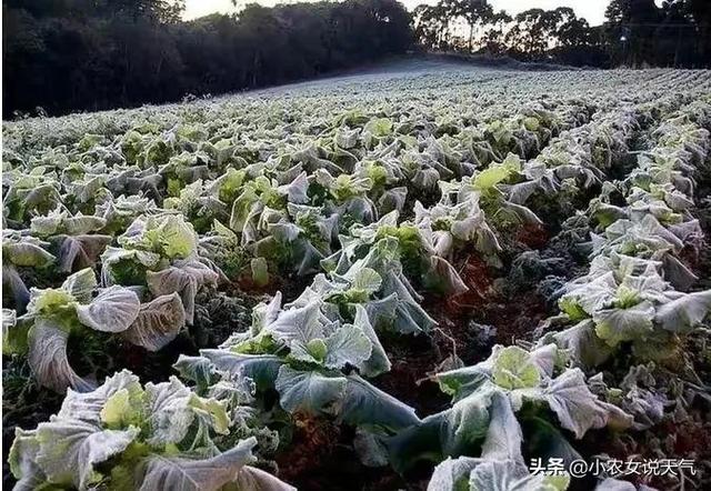 天气预报：大范围的降温和大暴雨来袭，夏天会冻哭？农谚咋说