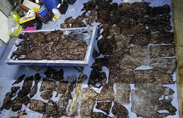 爆炸了！9米长鲸鱼搁浅在大连海滩上，专家：尽量远离，小心鲸爆
