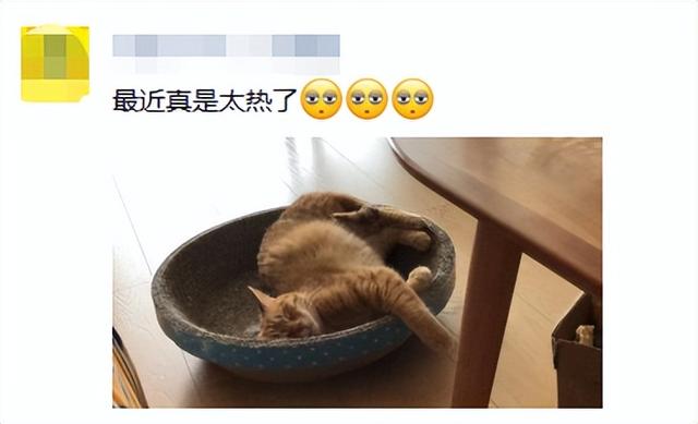 明天可能降10℃！放假第一天，有点堵