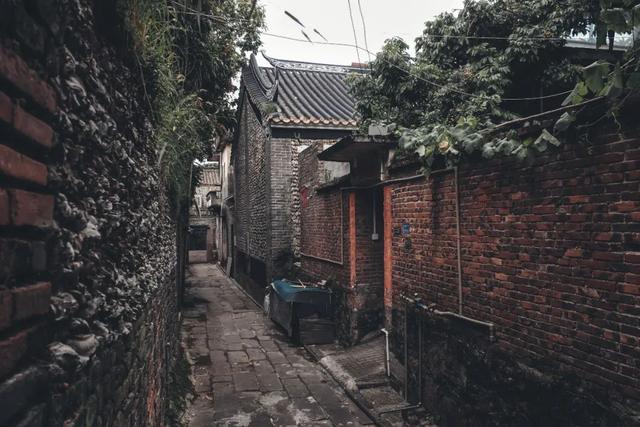 为什么要过清明？这是我听过最好的答案