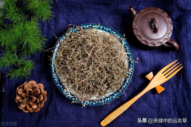 夏之将至，送你一味白花蛇舌草，解热毒、消疮痈、利小便