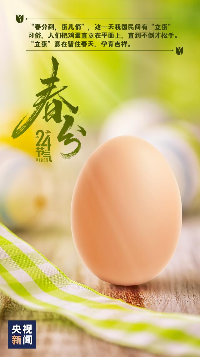 今日春分，莫负好时光！