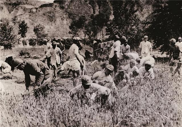 红军师长王光泽：1982年被发现尸骨时，脚上还戴着0.6公斤的脚镣
