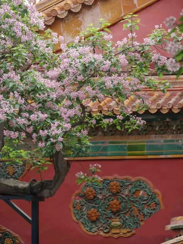 千万春花次第开