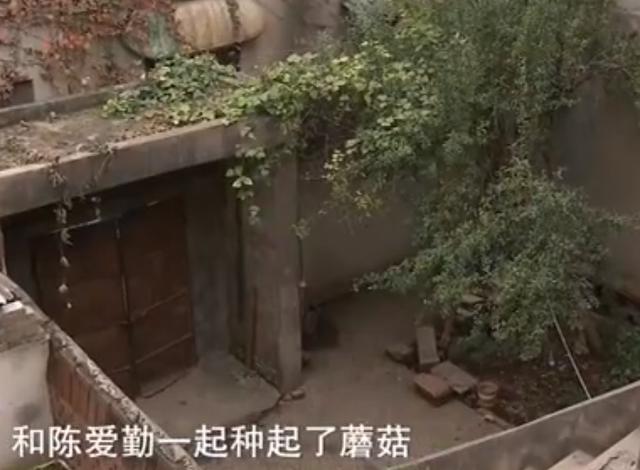 2011年河南许昌四人遇害，三天后一嫌疑人被捕，邻居：怎么会是他