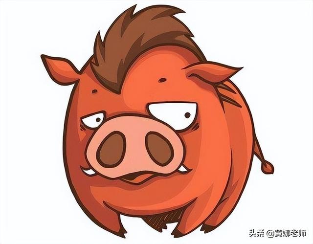 与棕熊无关：叶利钦是如何“初遇”普京的