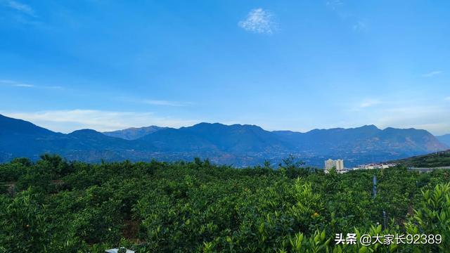 七言：立夏