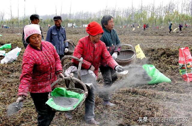 生产队记忆：六七十年代，农业生产究竟有没有使用化肥？2