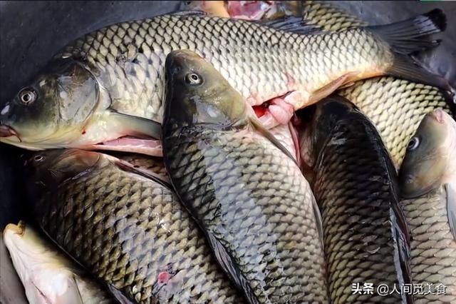 山東大哥在家裡開店 魚肉魚鰓魚骨魚鱗一起燉 十里八鄉都來吃 天天要聞