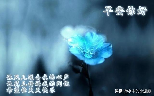 抖音最火的励志早安语录说说 越读越给力