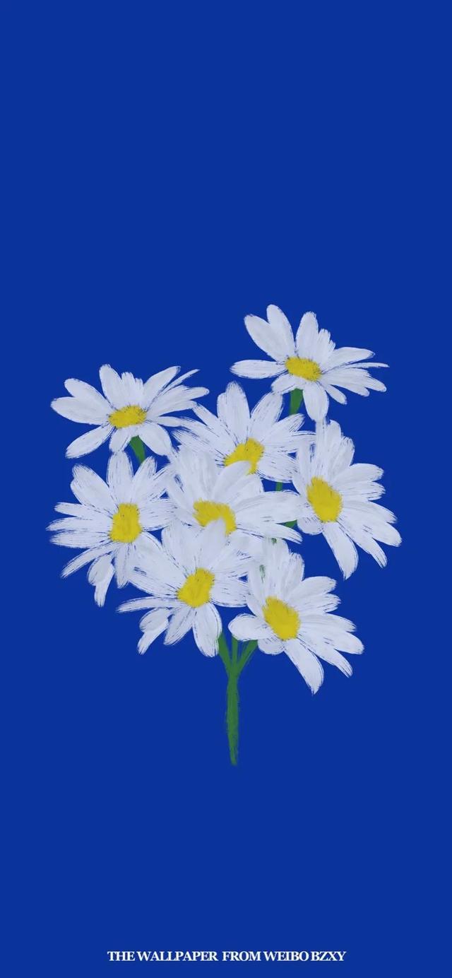 适合三八女神节发朋友圈的图片文案