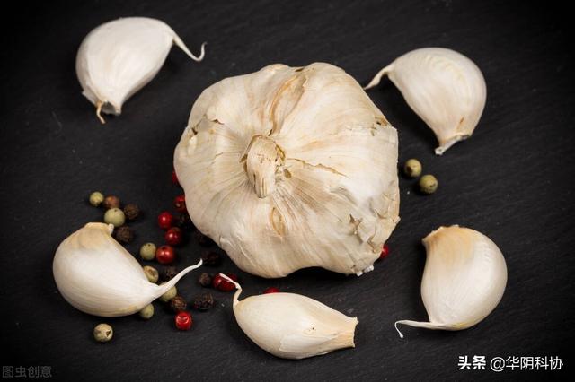 多吃大蒜、花生，能降血压？做好这些事，血压或能变平稳