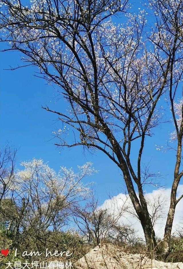 成都周边旅游景点