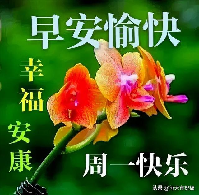 12月6日非常美好的周一早晨 动态表情 热情的星期一早上好问候插图(6)