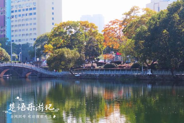 身爲5A景區卻堅持免費，秋色斑斓到處如畫，甯波這個景點讓人驚豔