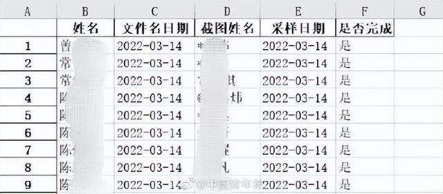 复旦博士生写代码统计核酸结果