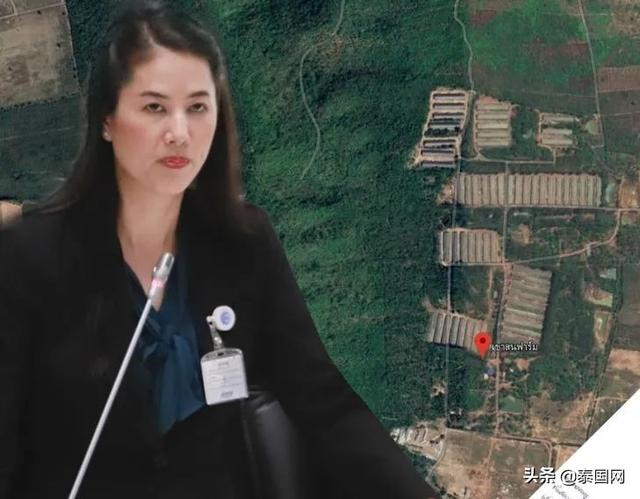 细思极恐！泰国女议员养了1000多条鳄鱼，豪宅周围堆满白骨......