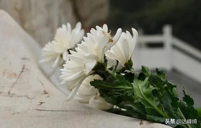 比较吃香的行业有哪些(零基础入门教程)
