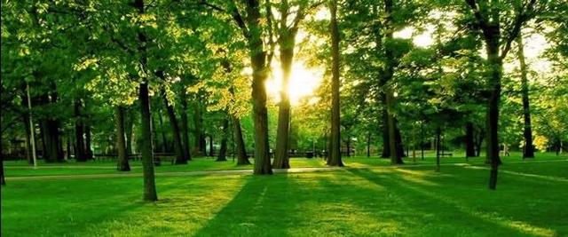 教育小孩，这份3-18岁的教育理念请收藏好（3-6岁篇）