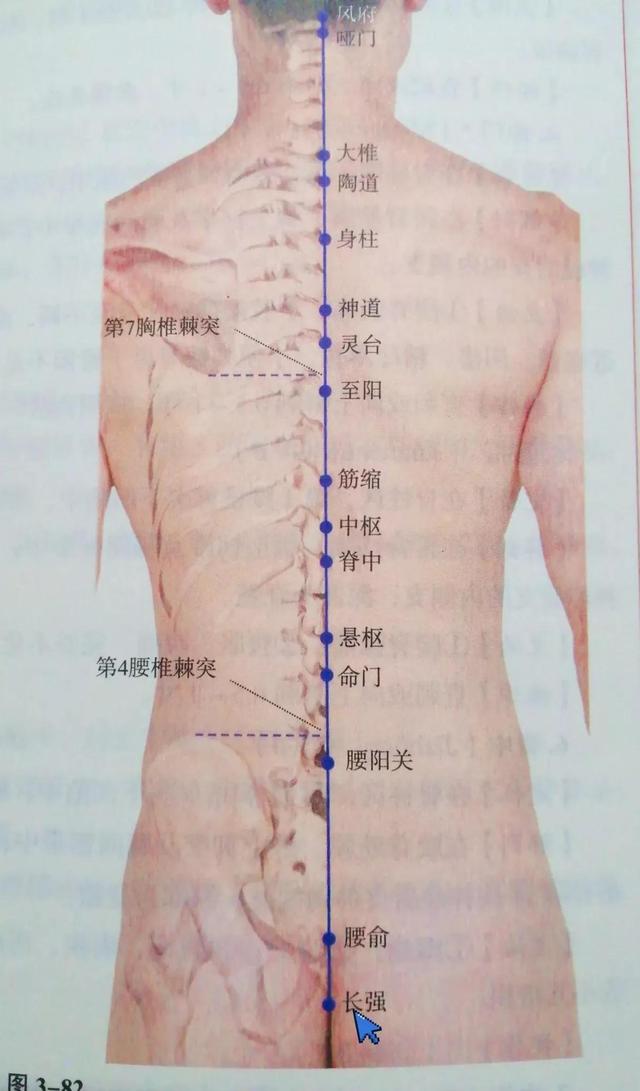 每日一穴——长强穴