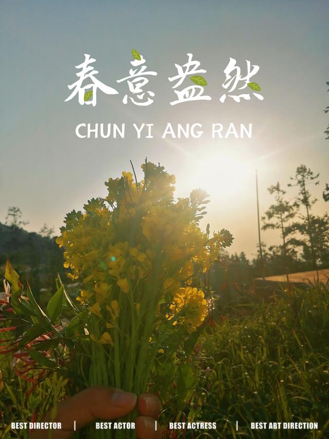 看过《断舍离》后，我开始学着放过自己