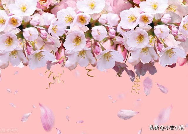 个性特点描述