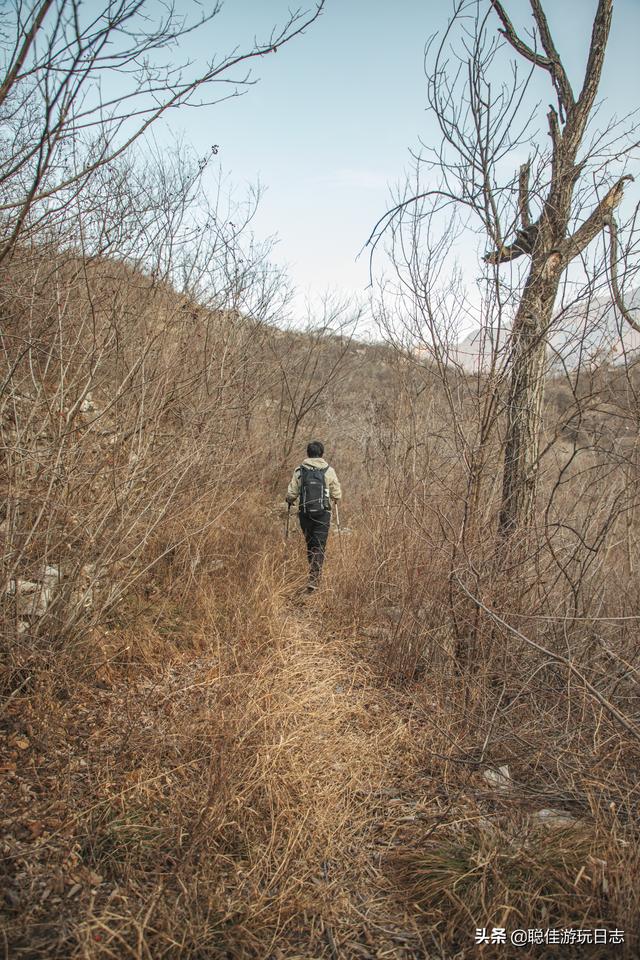 北京徒步登山：房山藥王谷-櫻桃谷登山步道環穿，山野冬季蕭瑟美