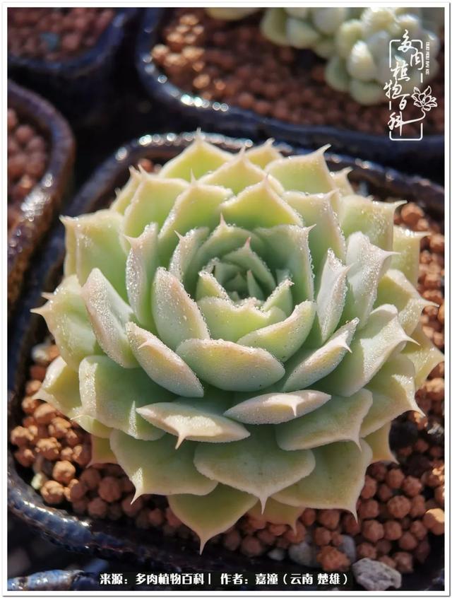 玉蝶铜芯电线价格表4平方,玉蝶铜芯线今日价格