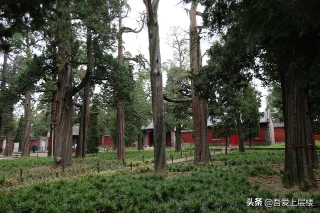 遊山東鄒城孟廟